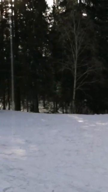 Южный берег Кавголовского озера. 5.03.2021.
