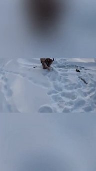 Слепой Но Живой! |рыбалка в России | #fishing #рыбалка #shorts