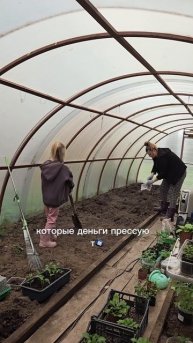 девчата с талкушкой на голове