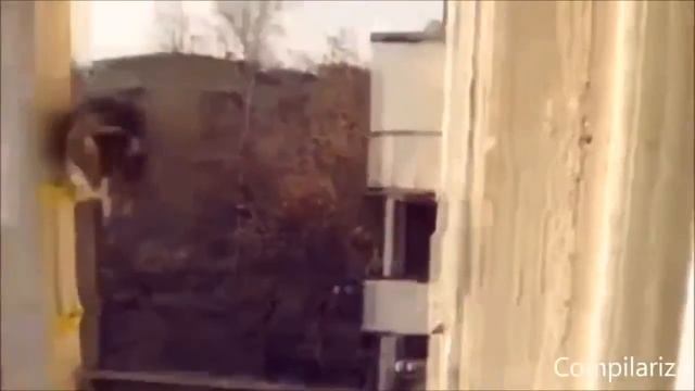 Смешное видео про кошек 2   Супер приколы 2013 выпуск 13