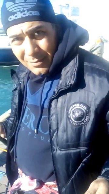 Рыбалка в сочинском морском порту.
