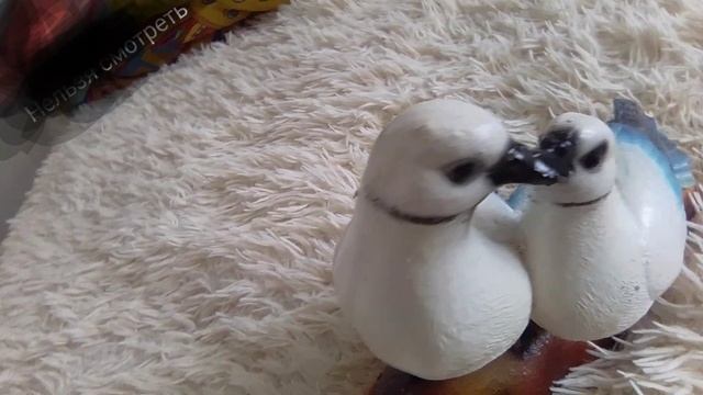 подпишитесь на канал ПЖ