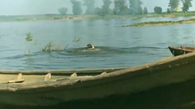 Ольга Вардашева - Начинается всё с любви