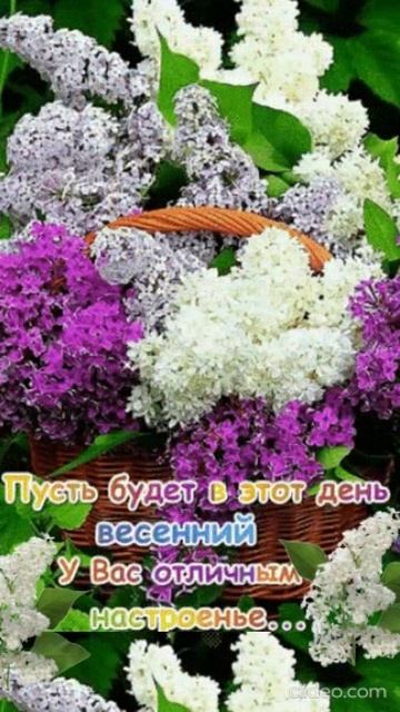СЧАСТЛИВЫЙ МАЙ.  Shorts.