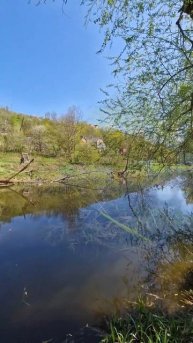 Весна р.Смотрич #asmr #fishing #спінінг #nature