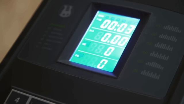 Как дополнительно потратить энергию собаки