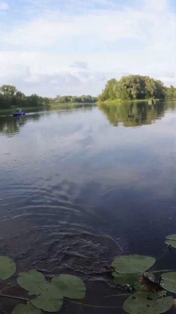 Сход первого окуня на волкер #рыбалка #fishing #окунь