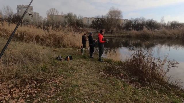 ЛІВОБЕРЕЖНИЙ КАНАЛ / МІКРОДЖИГ 28.11.24