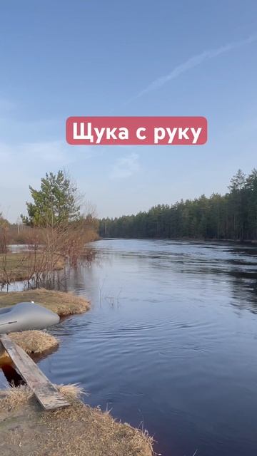 #путешествия #активныйотдых #мещера #лес #рыбалка #щука