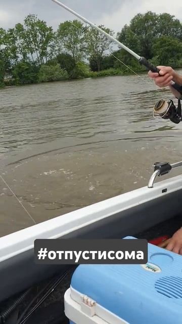 рыбалка на квок  #ловлясома #fishing #рыбалка2024 #com #рыбалка