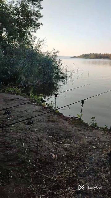 РЫБАЛКА. ОСЕНЬ. #рыбалка #fishing #карп