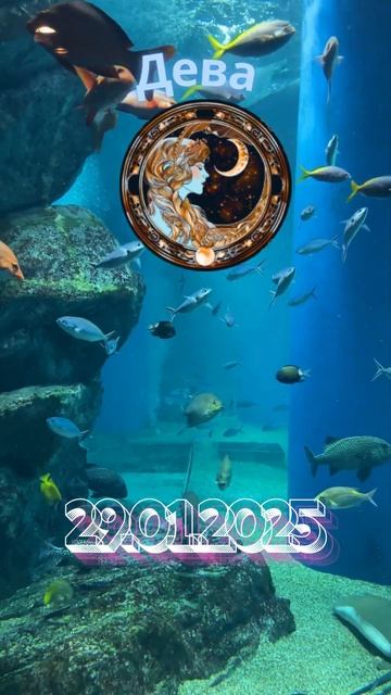 #гороскоп#horoscope#знакизодиака#гороскоп#знакизодиака#та