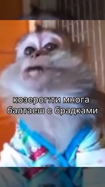 кто ты