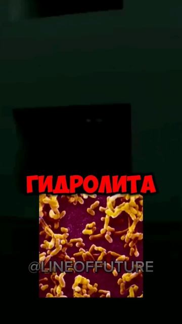 🪟💧Уровень 188.8💧🪟 #backrooms #dreamcore #liminalspace #weirdcore