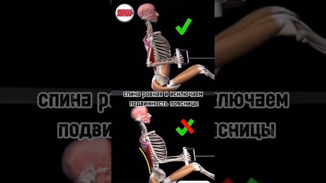 Тяга блока к  поясу #сила#мотивация#режим#пауэрлифтинг