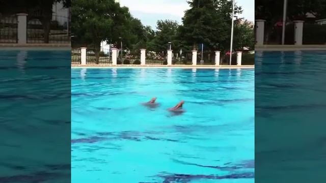 Synchronized swimming in Aqualife Olympic pool / Синхронное плавание
