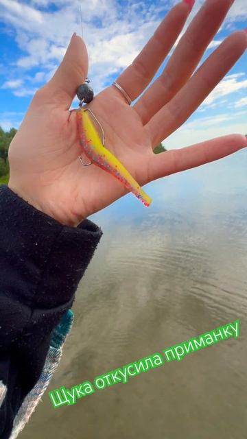 Обь, дикая щука #fishing #рыба #fish #природа #щука #река #обь