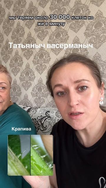 УМНЯШКА ШОУ