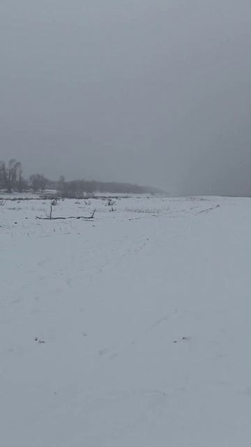 ОСТРОВ САРПИНСКИЙ. SARPINSKY🏝 ISLAND. 04.01.2024.
