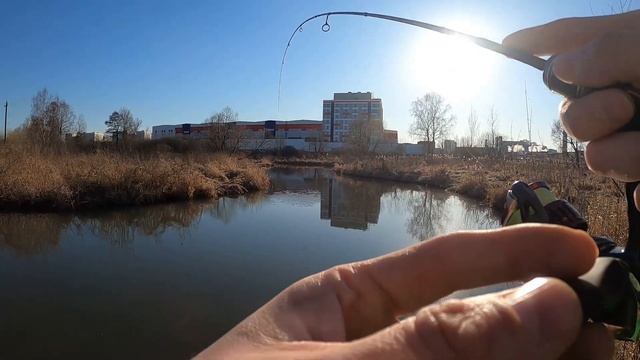 Трофейный микроджиг на московской речке.