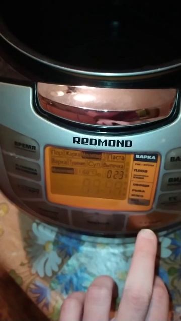 Мультиварка Redmond RMC-70 Проверка Режимов