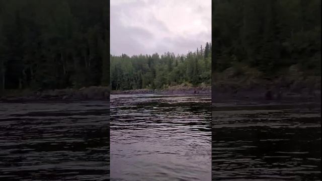 #щука #кольский #рыбалка #сёмга  #крайнийсевр #river #fishing #s