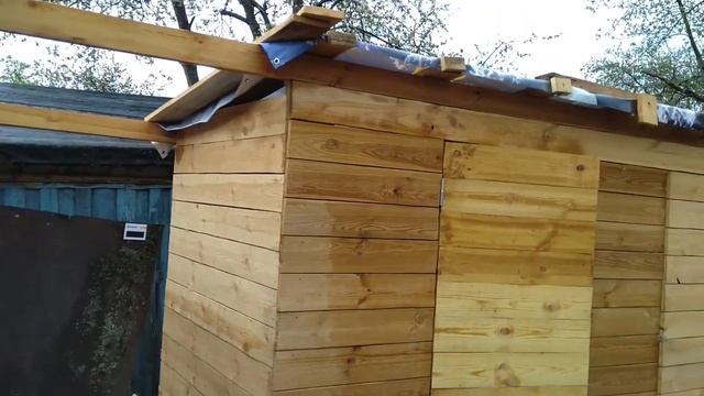 Дачный сарай-туалет достроен, ура!  Сажаем первые кусты на участке.