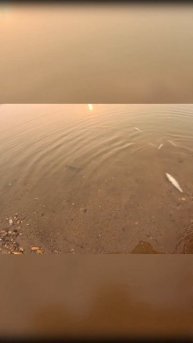 Попытка зарыбления карьера #рыбалка #fishing #рыбалка #зар