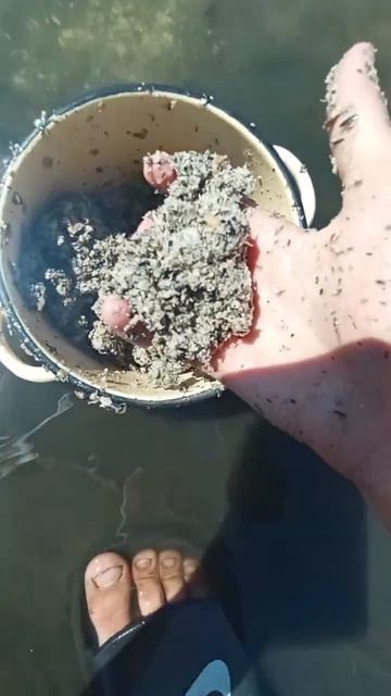 Как поймать большого карпа на фидер.#рыбалка #fish #fishing #?