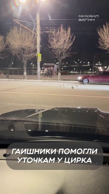 Гаишники помогли уточкам у Цирка