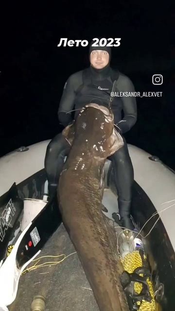 подводная охота в Самаре.#spearfishing #подводнаяохота #сомы
