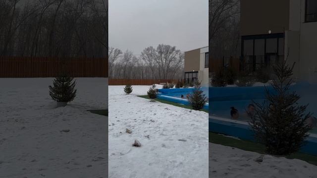Сибирские термы с бассейном на улице