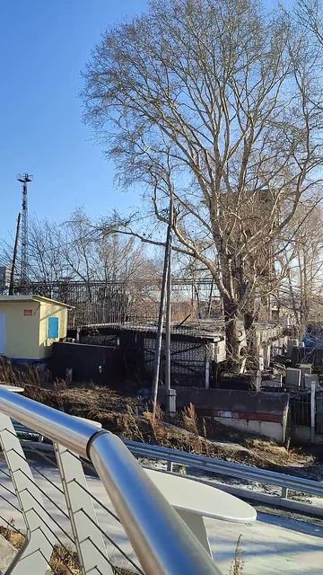 06.03.2025 Утро набережная реки Амур(1)