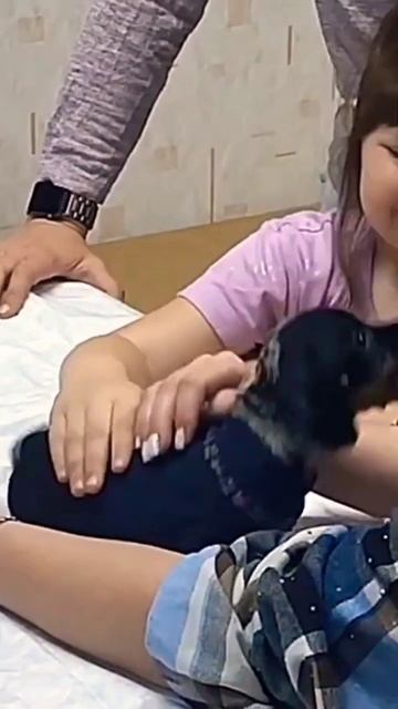 А я ещё в бассейн хожу, математикой занимаюсь..😸#юмор #