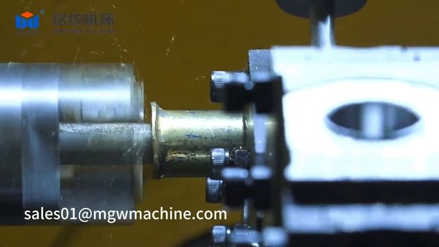 Rotary Transfer Machine for Washing Machine Valve