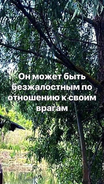 Борец за справедливость #овен #дева #козерог #близнецы