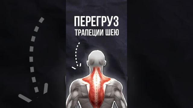 Как делать махи гантелей в стороны. Техника в деталях?