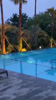 🌴 Пальмы, отель, бассейн #пальмы #красота #shortvideo #shorts #sh