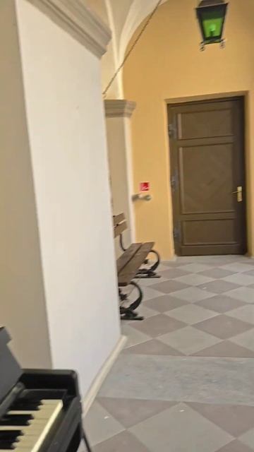 ЭТО НЕ ЕВРОПА!  Несвижский замок в Белоруссии #шаги #travel #shorts #беларусь #belarus #castle