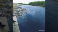 Вики на рыбалке. С папой на рыбалке. Дочка и папа на рыб