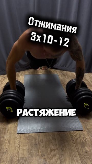Тренировка «Груди и Бицепса» с гантелями🔥