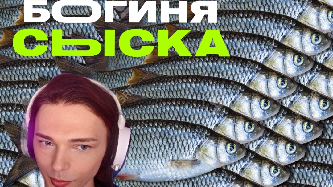 Liqvidhasyou  и Рыба