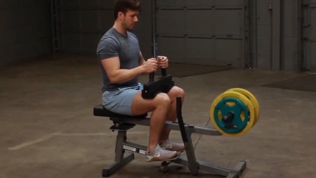 Голень сидя Body Solid GSCR-349