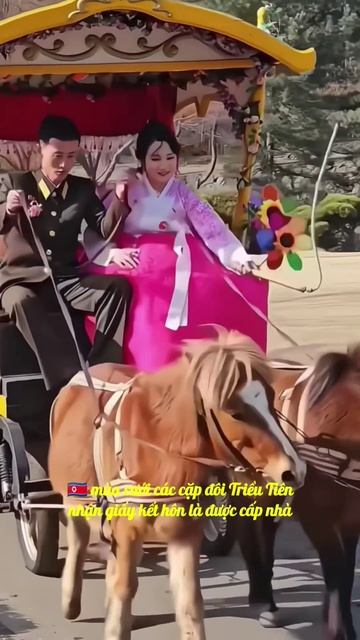 🇰🇵 DPRK happy wedding♥️