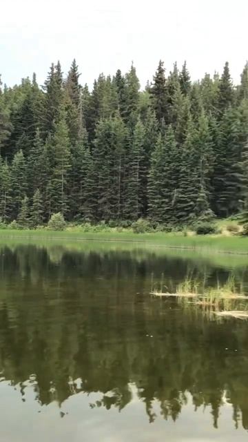 #рыбалка На озере где можно только лодка 🚣♀️ на вёс
