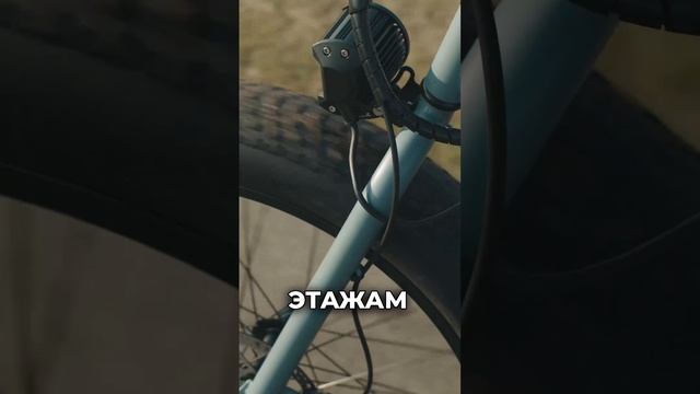 Как выбрать электровелосипед быстро и эффективно?
