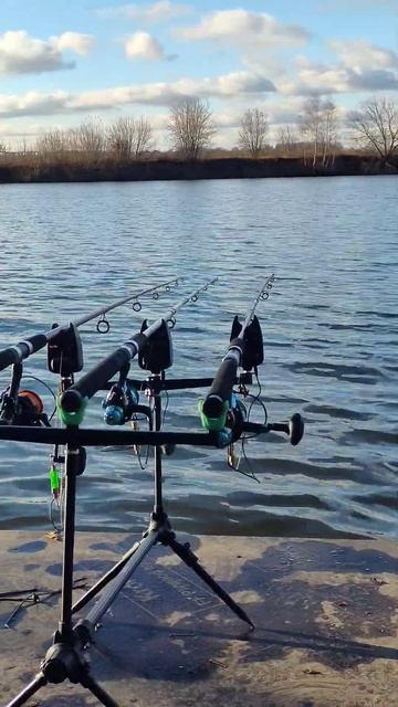 Кайф жизни #рыбалка #фразы #fishing #рыболовная #carpfishing #carp #