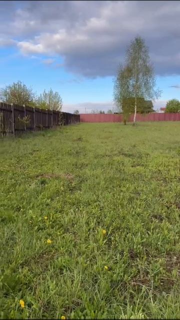 Село Новоселки городской округ Ступино Московская область