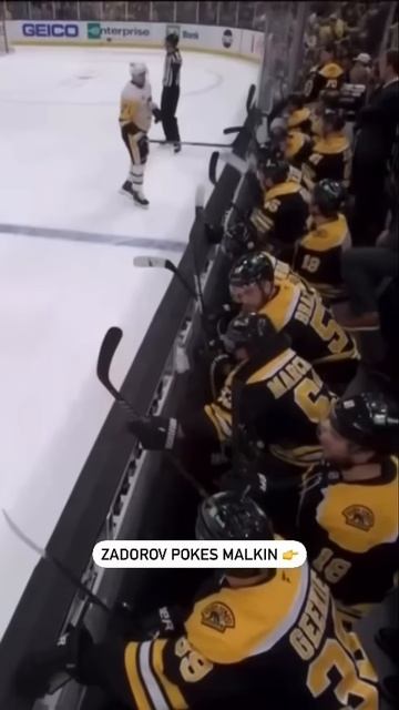 Geno reacts to Nikita #Zadorov poking him from the bench 😳#nhl #penguins #bruins #malkin