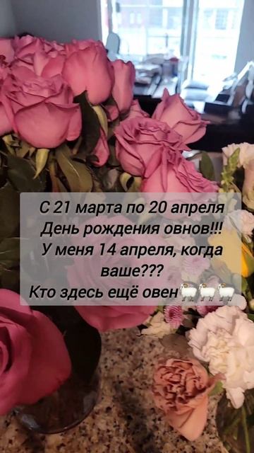 Гимн овнов #america #юмор #humor #знакизодиака #овен